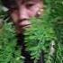 Gulay For Today