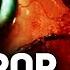Братишкин ИГРАЕТ в ЯПОНСКИЙ ХОРРОР BrokenLore DON T WATCH