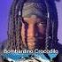 We Should Be Ashamed Impacto Bombardinocrocodilo Nearlyeveryone Viral