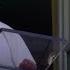 Pope Leo Leads First Sunday Prayer From Window In St Peter S Square ABS CBN News