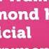 Alan Walker Diamond Heart Ft Sophia Somajo Official Instrumental