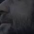 Smile Of Maximus Gladiator Hanszimmer Ridleyscott Nowwearefree Gladiator2