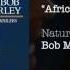 Africa Unite 1995 Bob Marley The Wailers