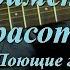 Неприметная красота Текст аккорды разбор