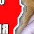Распаковка и обзор Тибетская чаша исполнения желаний