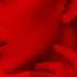 FILV BALENCIAGA Slowed Reverb BASS