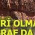 Cimri Olma İsraf Da Etme