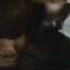 The Ghastly Ones 1968 AKA Blood Rites Trailer