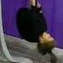 Тренировки AERIALHOOP ВОЗДУШНОЕ КОЛЬЦО