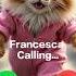 Francesca Calling Ringtone Calling Foryou Cutecat Viral Youtube Youtubeshorts Kitten New