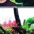 Creating A Stunning Island Aquascape With Horizon Aquatics 4 Experts 1 Vision
