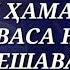 Шайтон