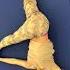 Shakira Prepping My Body For Rehearsals