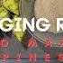 HANGING RICE PUSO How To Make Hanging Rice Puso Kinasing Weaving Cooking SA SARAP TV