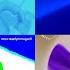 VIDEO TUTORIAL 1 MILLION Gummy Bear Gummibär Song MULTI LANGUAGE Cool Visual Audio Effects