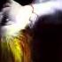 Goblin Tenebre Main Title HD