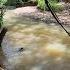 Tano River Flows From Traa Ghana Through Ivory Coast Into The Atlantic Ocean 4K