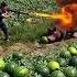 Poor Little Pig Farm Farming Satisfying Farmer Nature