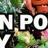 DIY Fairy Garden Corinne VS Pin
