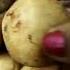 Shorts Viralshorts Youtube Shorts Kakara Pitha