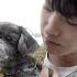 EN TER Key Playing With Puppies ENHYPEN 엔하이픈 ENG JPN