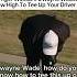 Driver Tee Height SIMPLE TigerWoods DwayneWade MentalityGolf