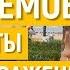 Работа с возражениями 7 безотказных приемов Этапы и техники продаж Тренинг продаж Олег Шевелев