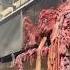 Inside A Slaughterhouse THIS Is What You Support When You Eat Meat