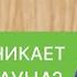 Синдром Дауна причины возникновения диагностика на ранних стадиях Причины синдрома Дауна 12