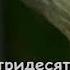 Детские Лев И Брадобрей