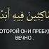 Сура Аль Кахф
