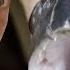 River Monsters Jeremy Wade Investigates The Piranha S1 E1 Full Episode