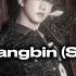 ULTRA CHANGBIN Stray Kids SPED UP SONG