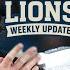 DETROIT LIONS IN TROUBLE OTA The Lions Weekly Update With Terry Foster Sunday June 8 2025