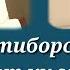 ЭРИНИНГ КЎНГЛИ ҚОЛГАНИДАН ШИКОЯТ ҚИЛГАН АЁЛ ХИКОЯСИ