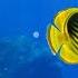 2 Hours Of Beautiful Coral Reef Fish Relaxing Ocean Fish Stunning Aquarium Relax Music