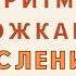 Логоритмика с ложками Запуск речи через музыкой Звукоподражание для малышей