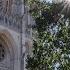 Sunday Holy Eucharist 6 22 25