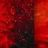 Protostar Hyri Pushin