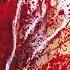 Cannibal Corpse The Bleeding Instrumental Track