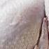 How To Quickly Defrost A Turkey