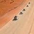 Ultimate Namibia Expedition Safari Etosha National Parks Big Daddy Dune AdventuresOverland
