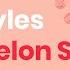 Harry Styles Watermelon Sugar Acoustic Karaoke