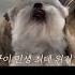 나 떨고있니
