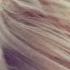 SMLE Halo Feat Helen Tess The Best Future Bass By Feel The Sound