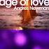 Andres Newman Age Of Love Shorts