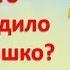 Музыкальная игра Кого разбудило солнышко для детей заяц лиса медведь птичка