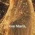Ave Maria Catholic Shorts