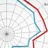 What Is The Halo Effect Cognitive Bias