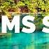 SLEEP WITH GOD S WORD ON THE BOOK OF PSALMS Relaxing Bible Stories Prayers